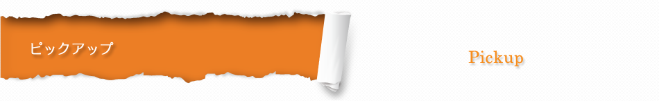 ピックアップ