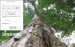 80年生最高級木曽ヒノキ限定