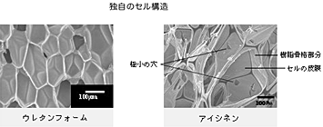 独自のセル構造