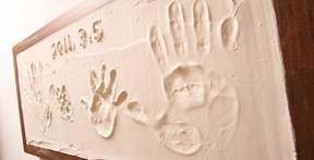 快適で安心な天然塗り壁材「テラ・デコール」５つのこだわり