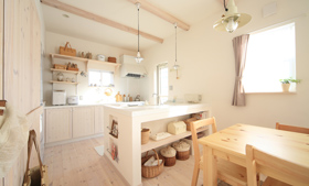 自然素材珪藻土塗り壁 テラ・デコール施工例